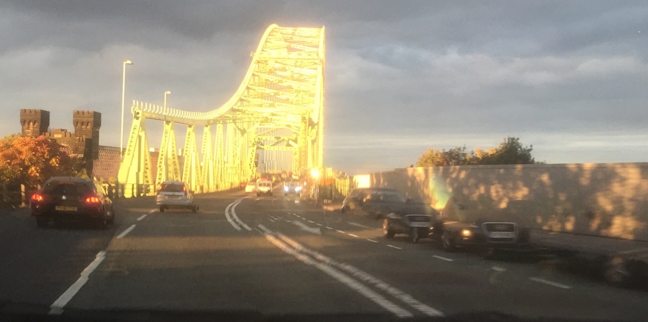 Evening View from a car