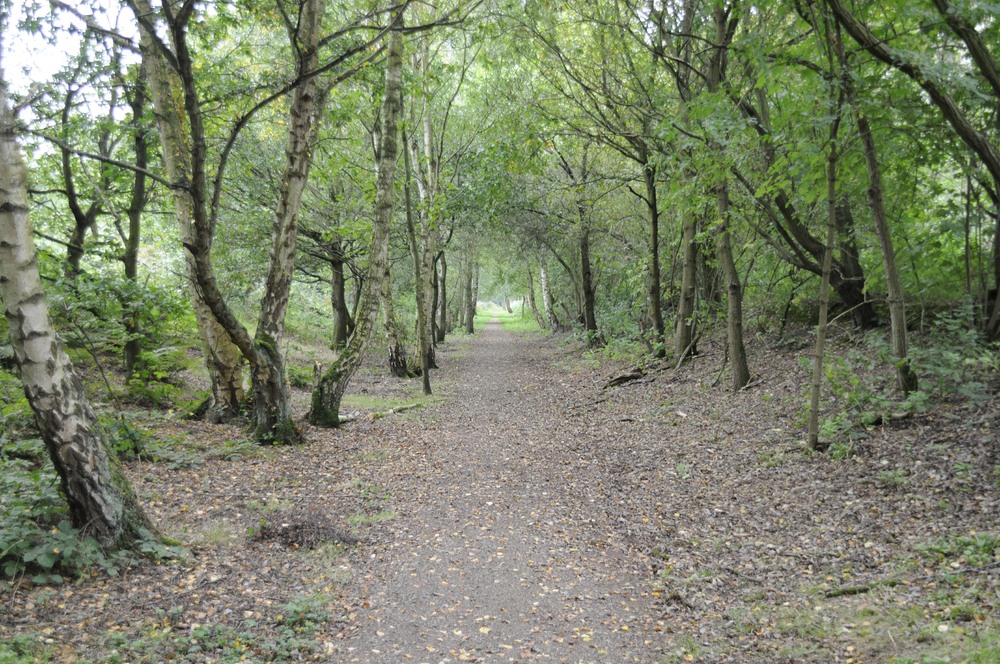 Moore nature reserve